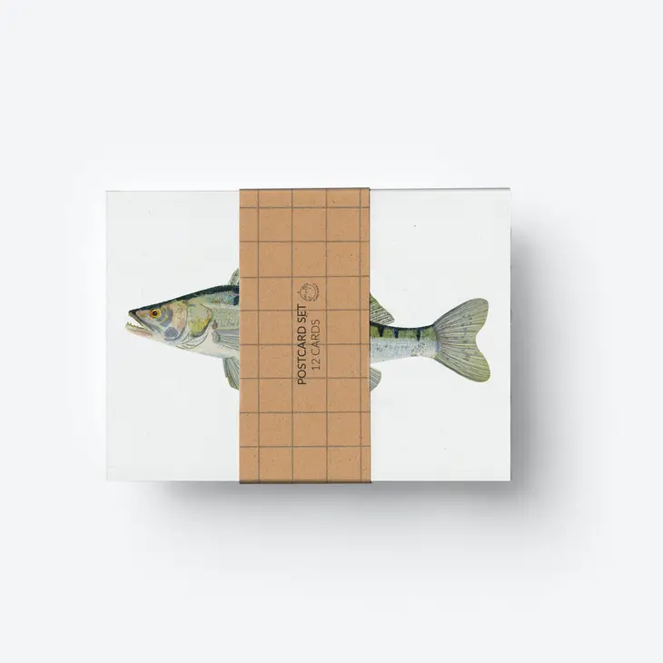 Postcard-Set Fische