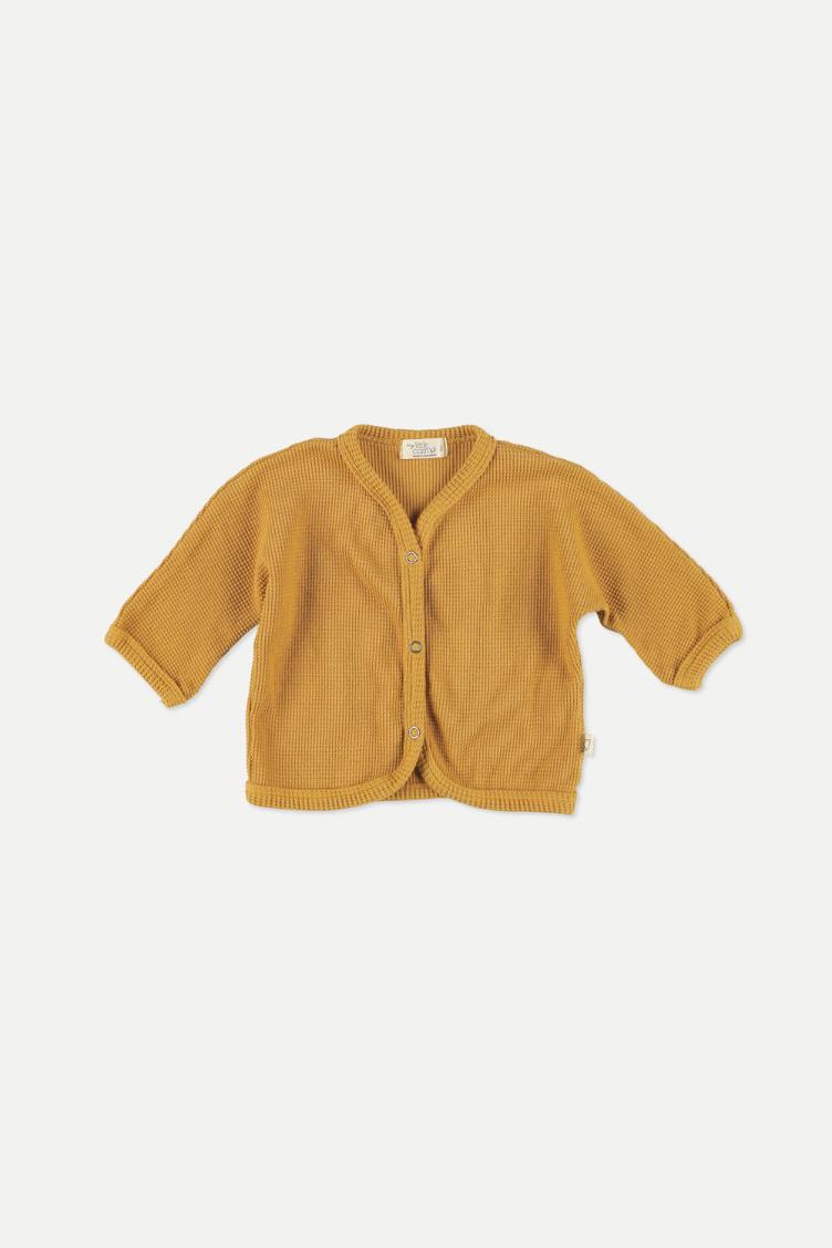 Adam Cardigan