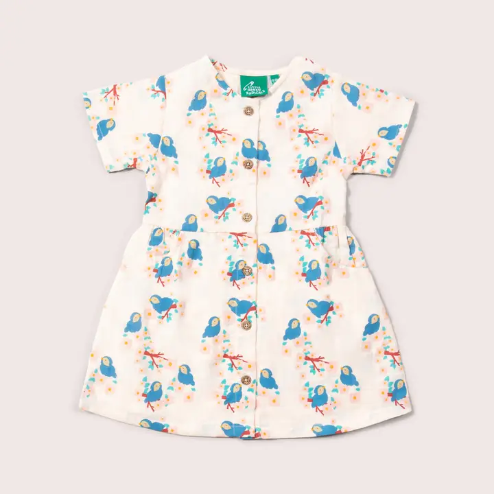 Kleid Vögeli
