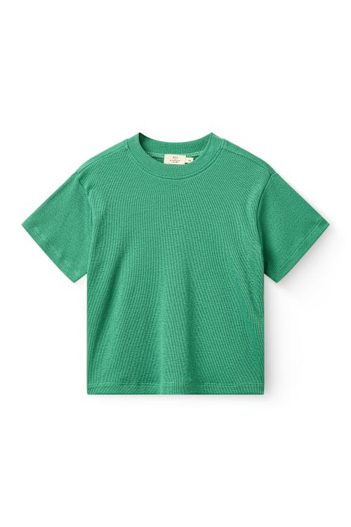 Modal rib T-Shirt green