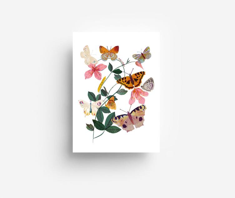 Postcard ButterflyPlant